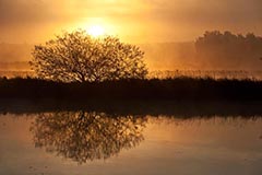 Sonnenaufgang - Zum Vergroessern klicken!